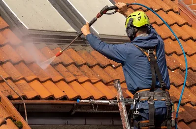 Démoussage et hydrofuge de toiture à Fromental